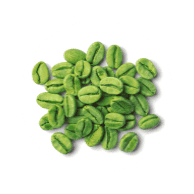 Green Coffee Bean Extract